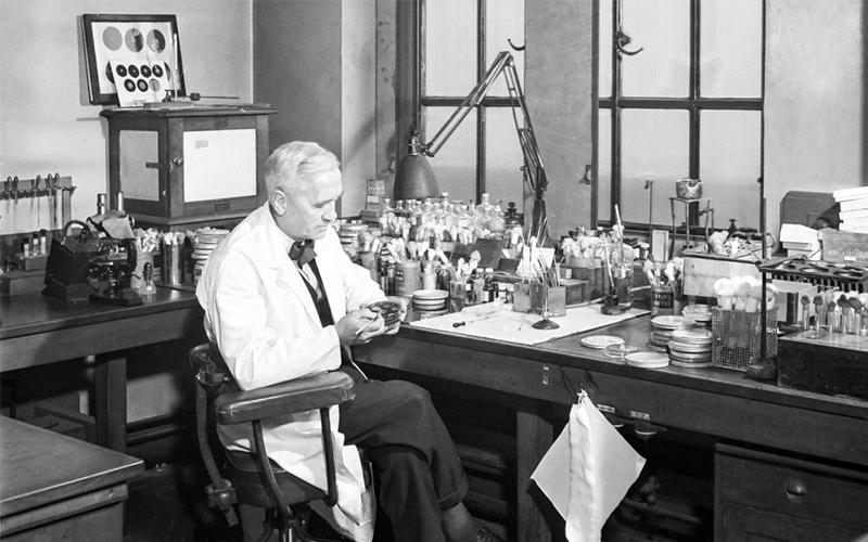 Character Story| How much was Penicillin worth during the war? | DXDF, Grand Orient Wax Figure 3