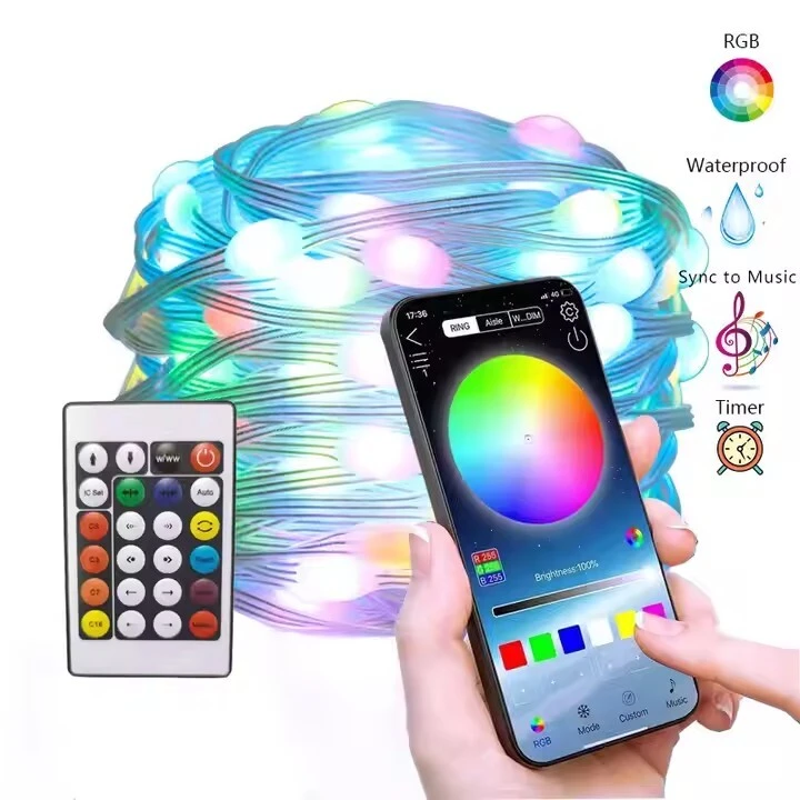 Smart Fairy Lights 33Ft 100LEDs, Color Changing String Lights with Remote & App Control, RGB-IC Multicolor DIY Twinkle Lights for Bedroom, Birthday, Party, Indoor Holiday Decor 1