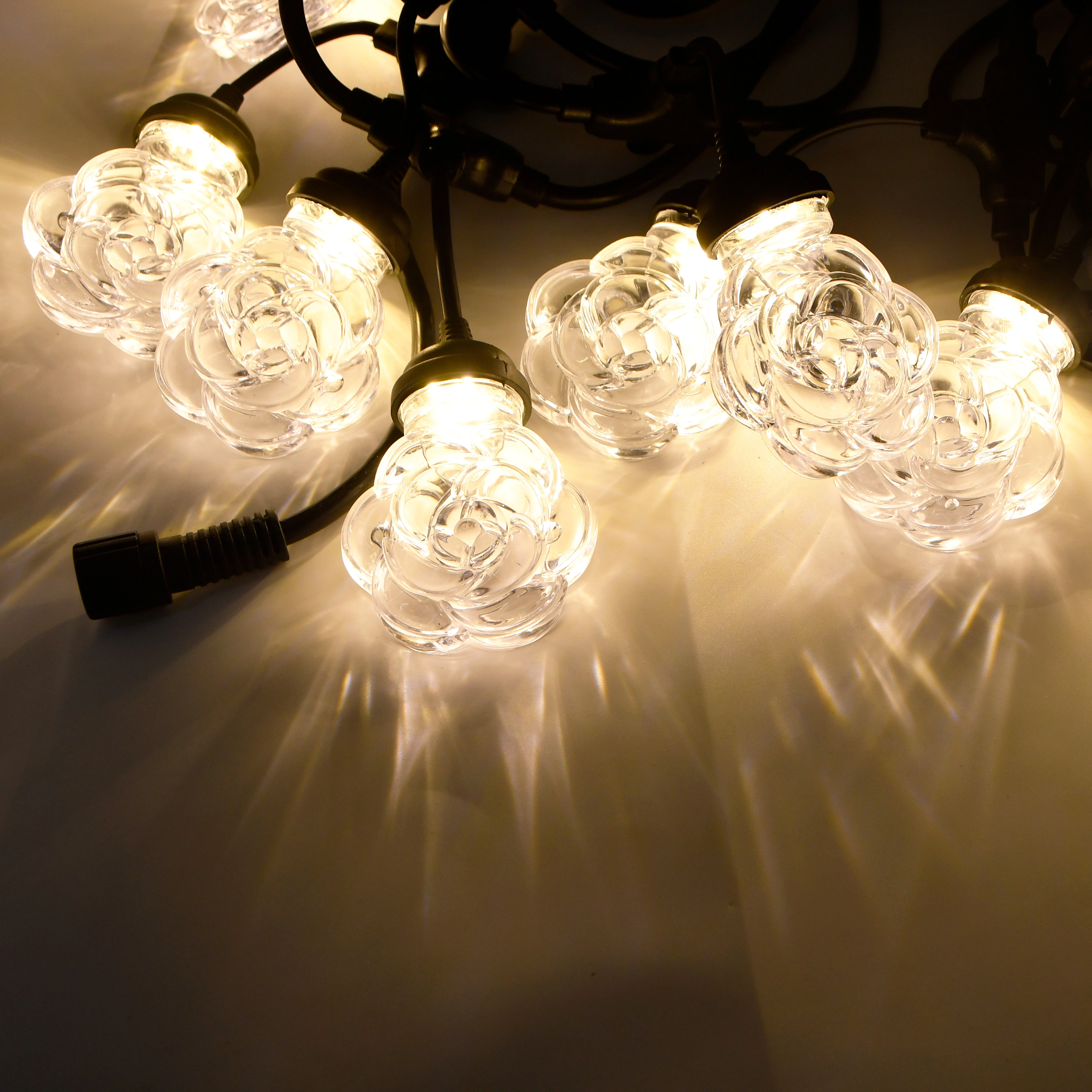 5m 10L Rose Flower LED Festoon Lights, Black Cable, IP44 1