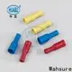 Wahsure electrical terminal connectors company for business 1