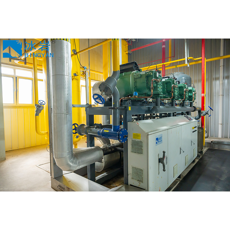 Low-Temperature Cold Storage Solution (-30~-18℃) — Air Cooler + Duct Mode with AI Intelligent Defrosting & Intelligent Monitoring System 2