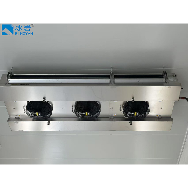Water Deforsting Air Cooler 2