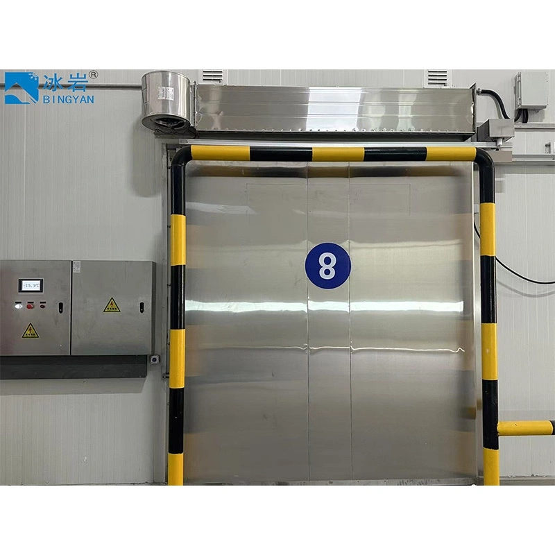 BY Series Electric/Manual Sliding Cold Storage Doors 1