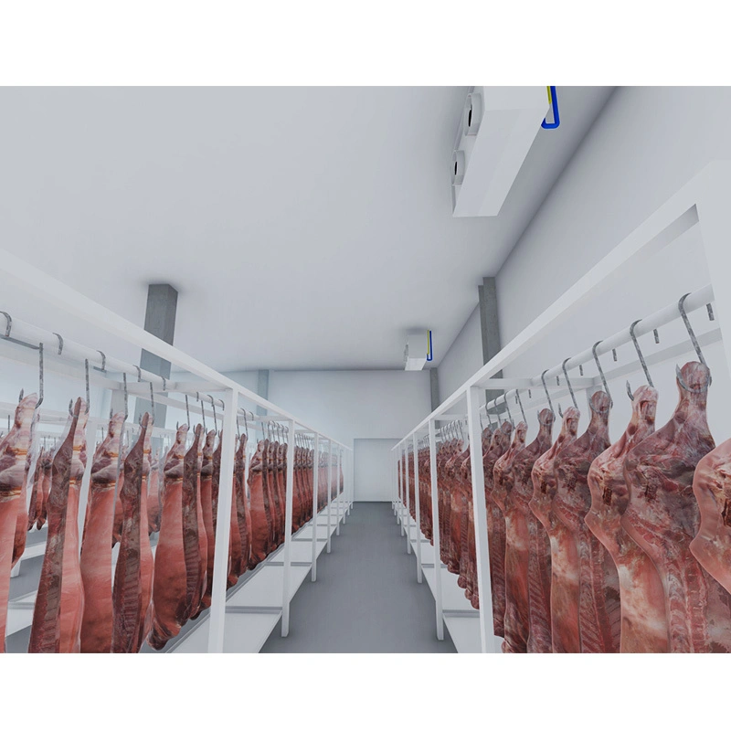 Introduction to Multi-Category Meat Storage Cold Storage 1