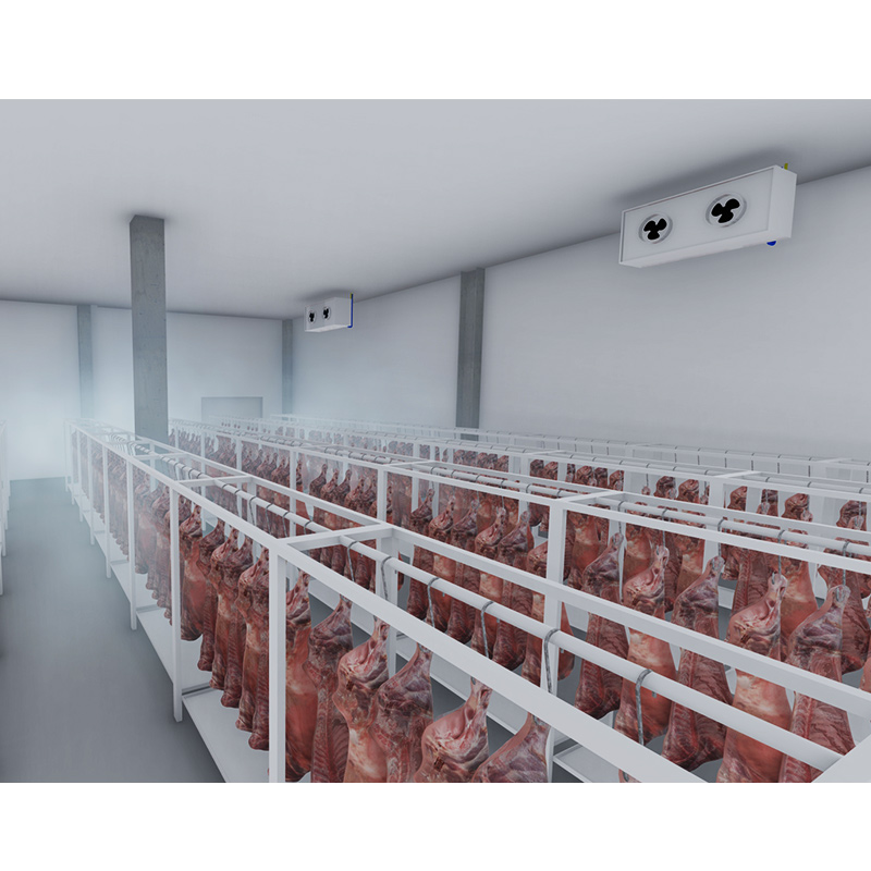Introduction to Multi-Category Meat Storage Cold Storage 3