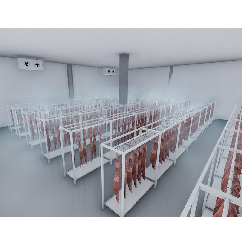 Introduction to Multi-Category Meat Storage Cold Storage 2