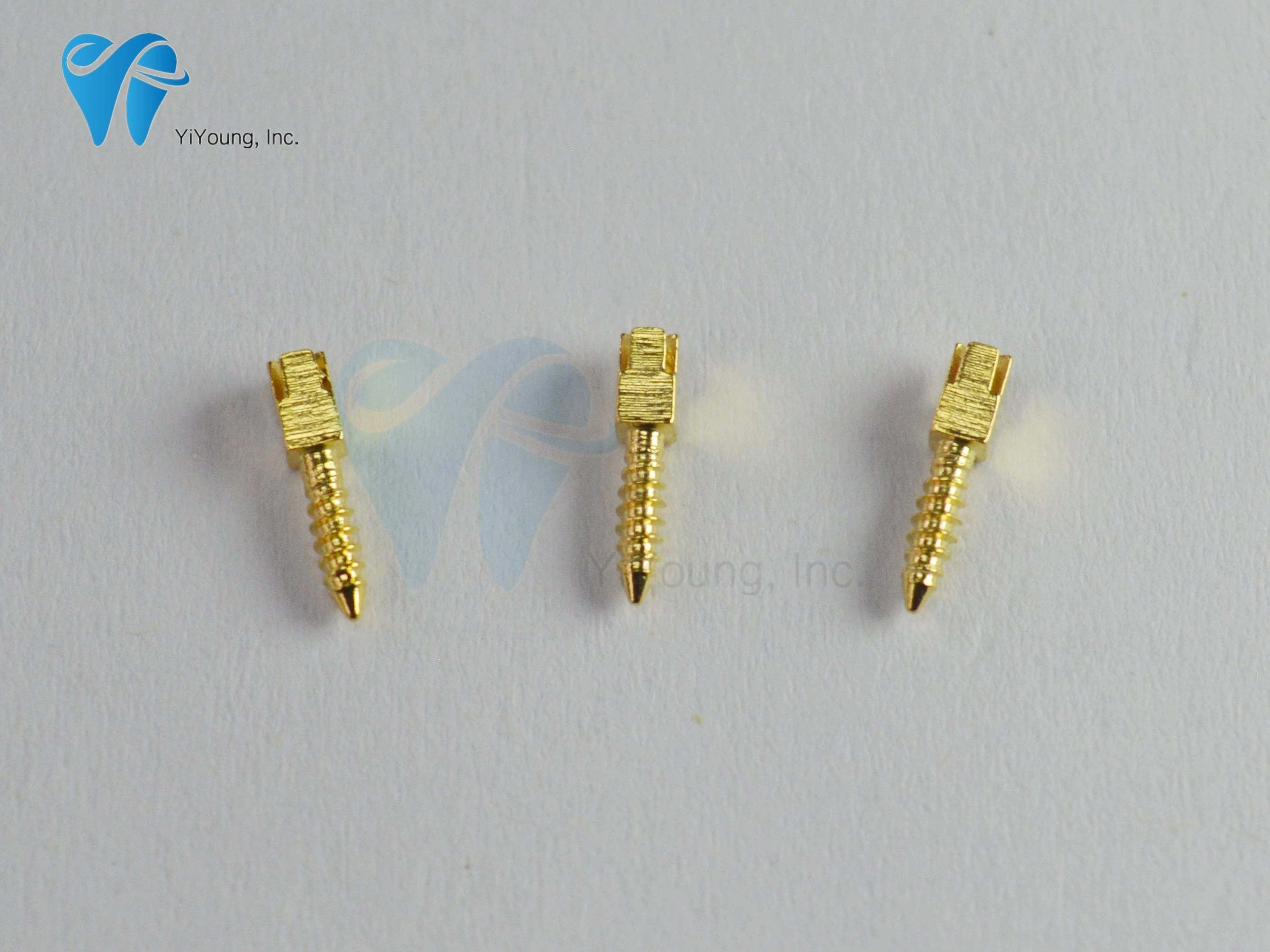 Postes de tornillo endodónticos de acero inoxidable dorado para conducto radicular dental 1