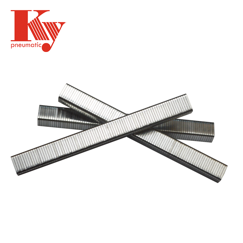 KY - Ga20 Type 1013j Chinese Staples Ungrouped 5