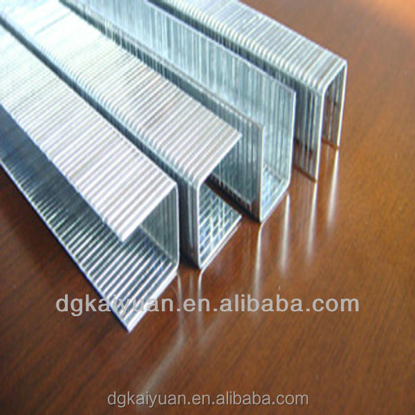 KY - Furniture Wood Staples Pins 1013j 10J staples 4