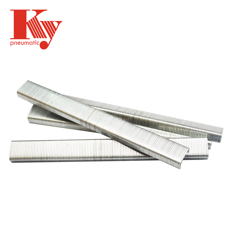 KY - U Type Staple Grapas 8010 Ungrouped 3