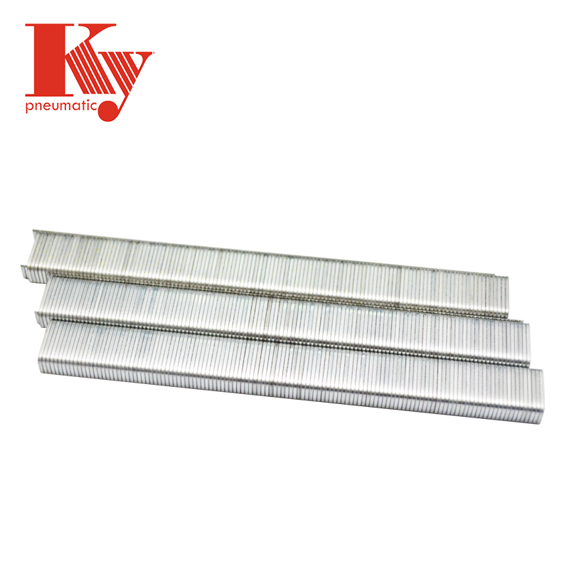 KY - Galvanized Steel Nail 8010 Staple Hot Selling 3