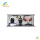 SkyFun VR Amusement Park Container – 9D Capsule & AI Dinosaurs 1
