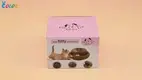 Macaron Box Packaging by LLC 1