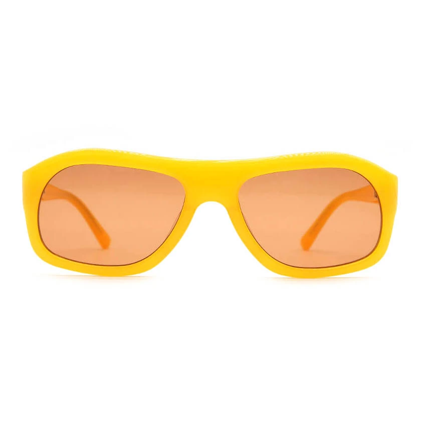 Classic Rectangular Acetate Sunglasses HA25294 1