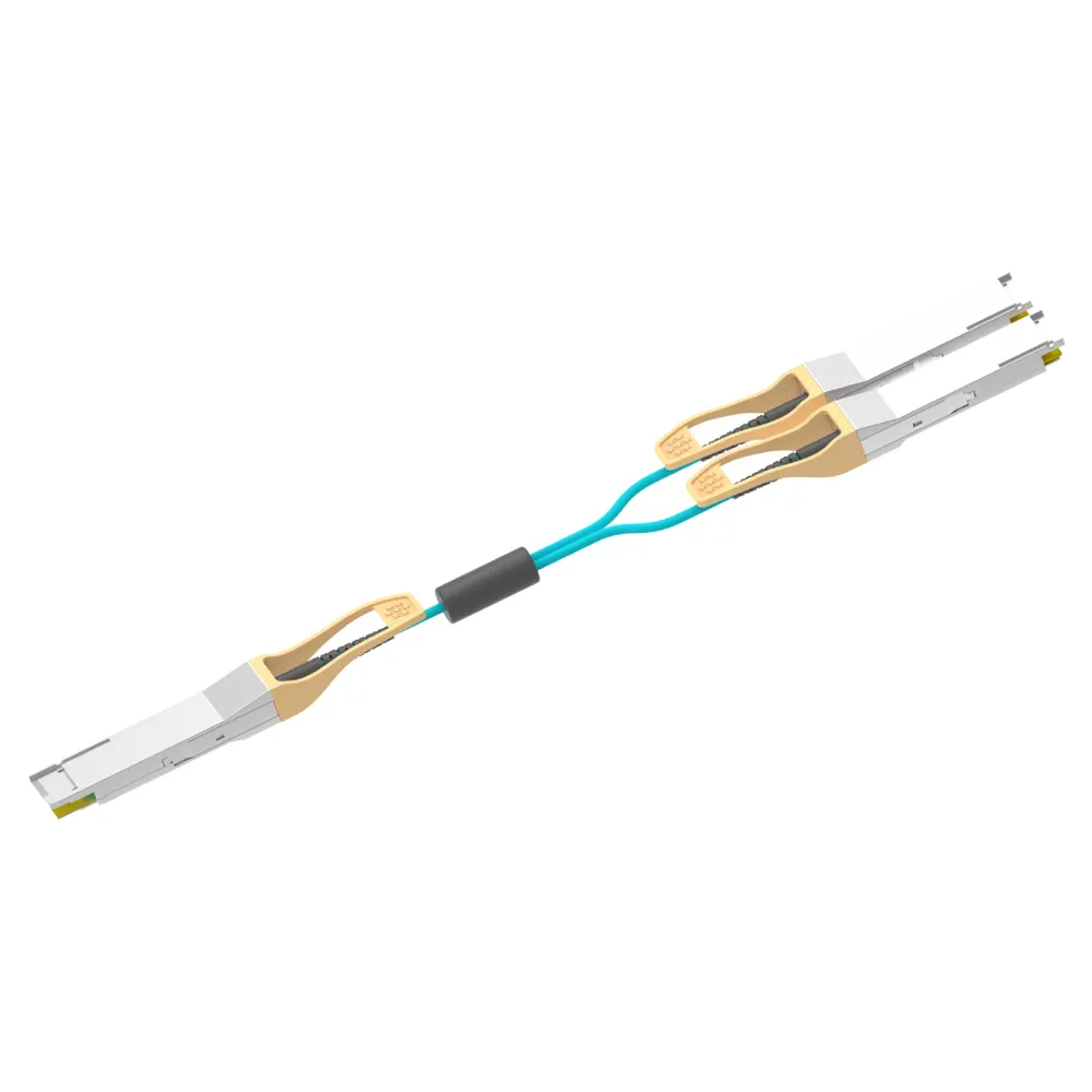 200G QSFP-DD To 2x100G QSFP28 AOC 1