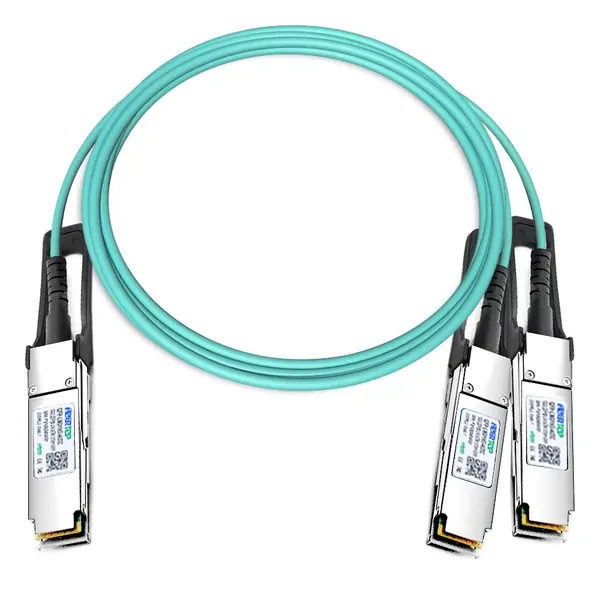 Mellanox 200G QSFP56 から 2x100G QSFP56 1M AOC 1