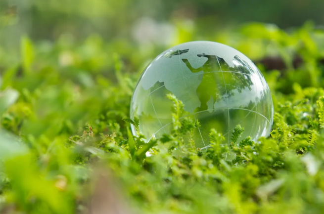 Langqiao Collaborates with Industry Partners to Drive Green Innovation in the Pulp Industry: Breakthrough in Carbon Capt 1