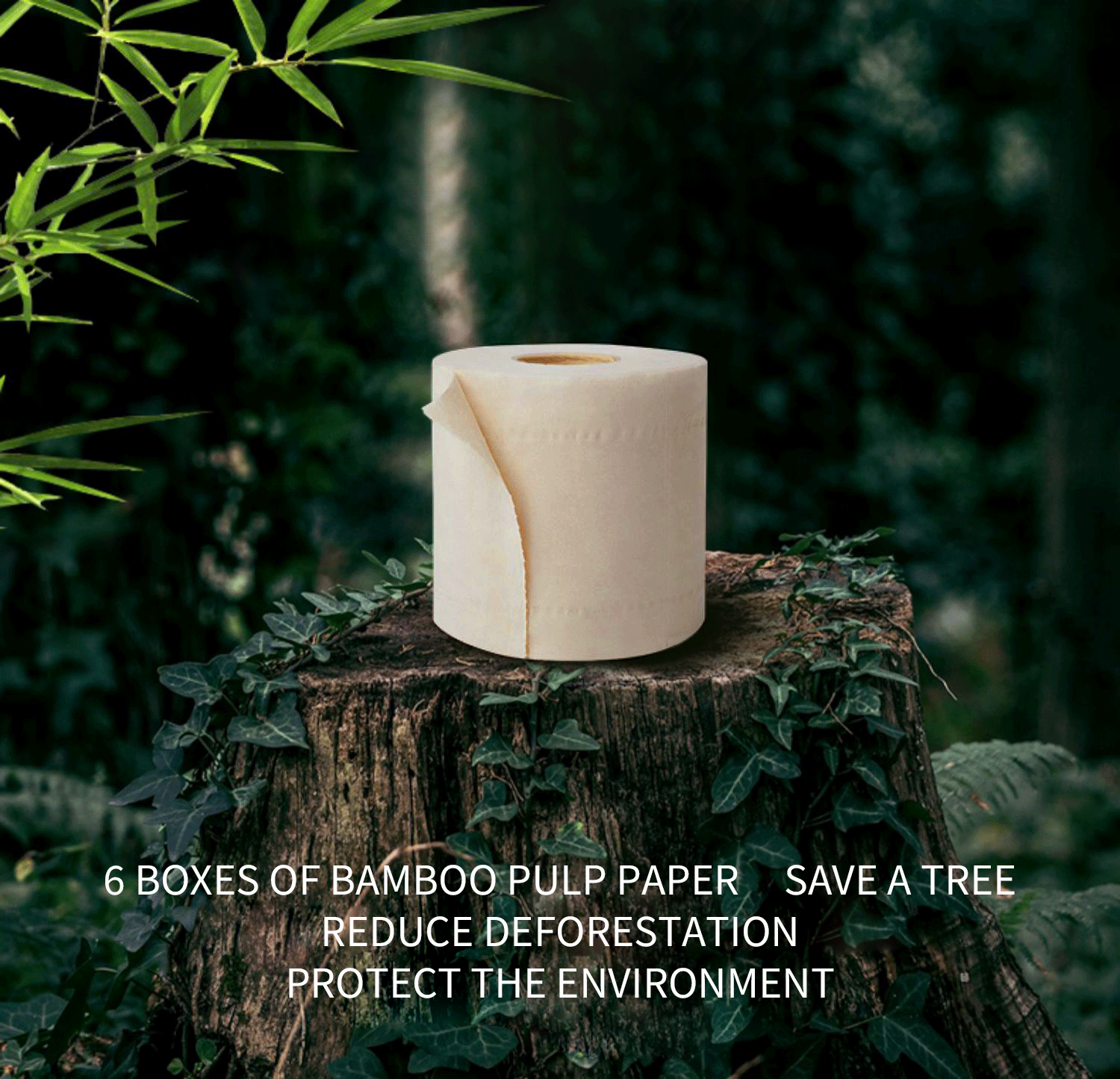 From Forest to Roll: A Comprehensive Guide to Sourcing Raw Materials for Toilet Paper Production 2
