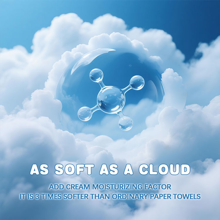 Why are Soft Tissues/Toilet Papers more Expensive to Make? 1