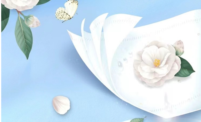 What are the different types of Toilet Paper? 5