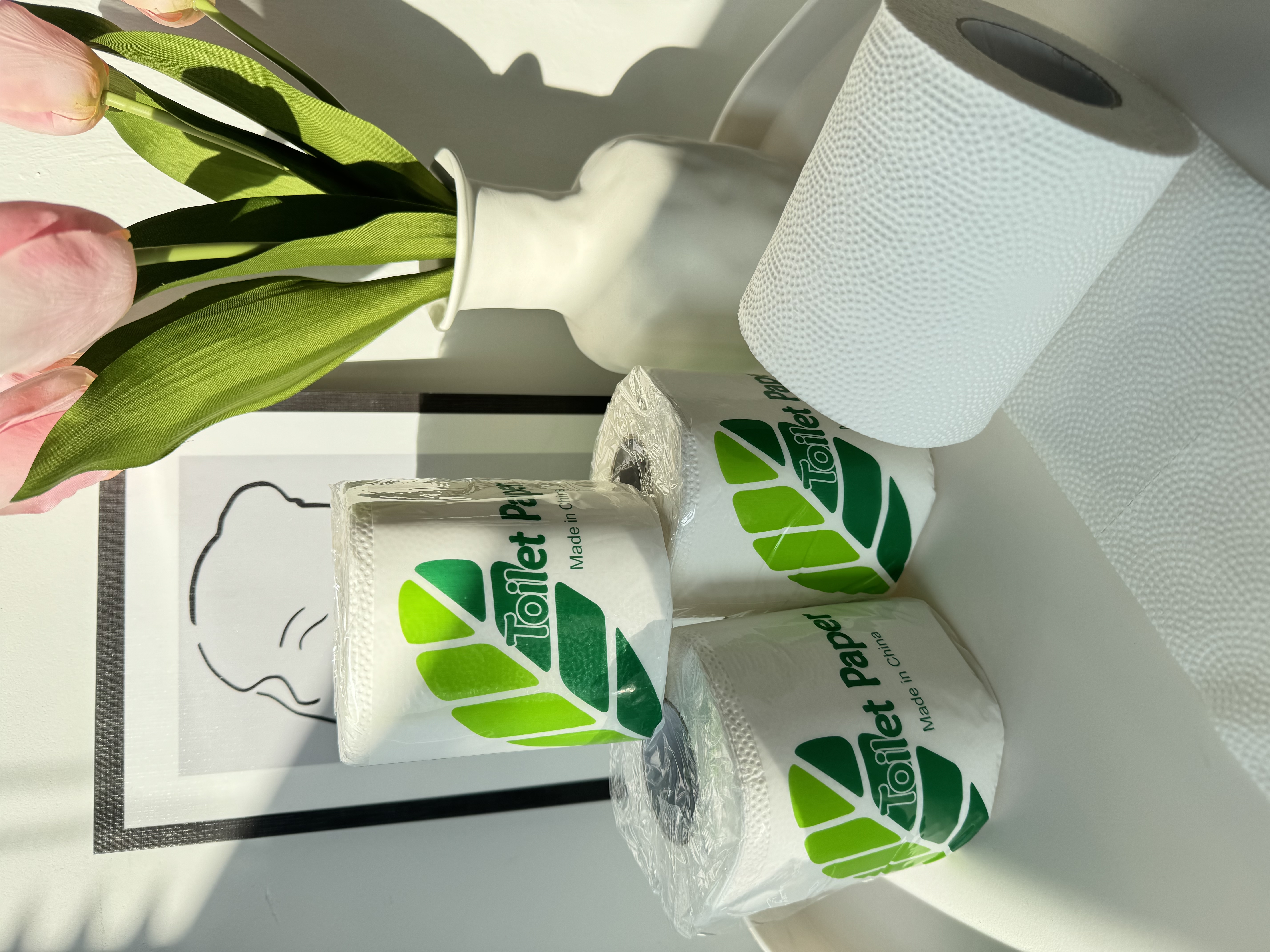 The Unexpected World of Toilet Paper: More Than Just a Bathroom Staple 2