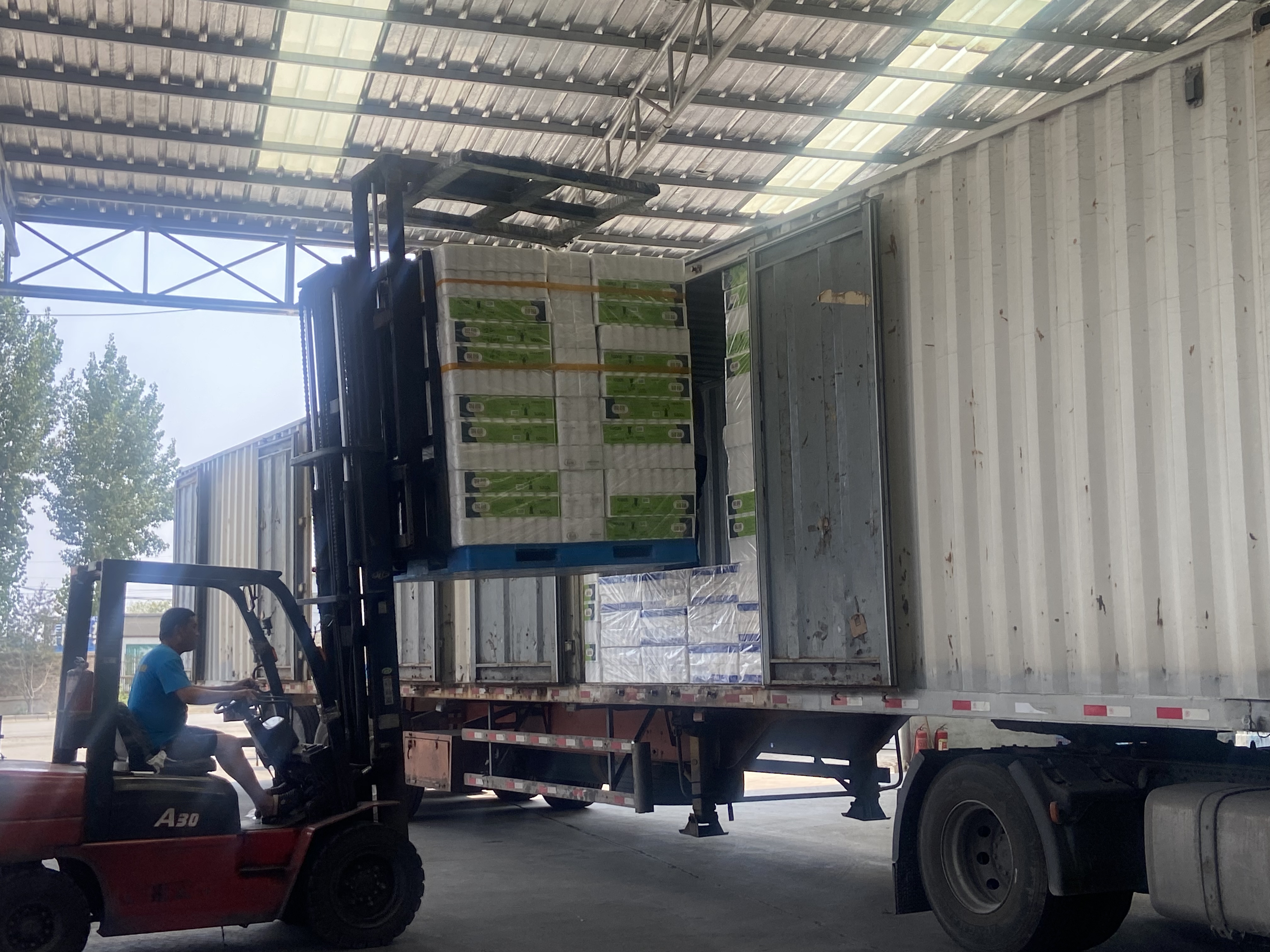 what is Arrania toilet paper production process? | Arrania 3