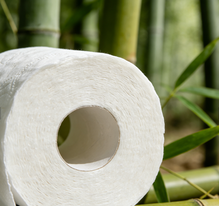 Why Choose Our Bamboo Toilet Paper? 1