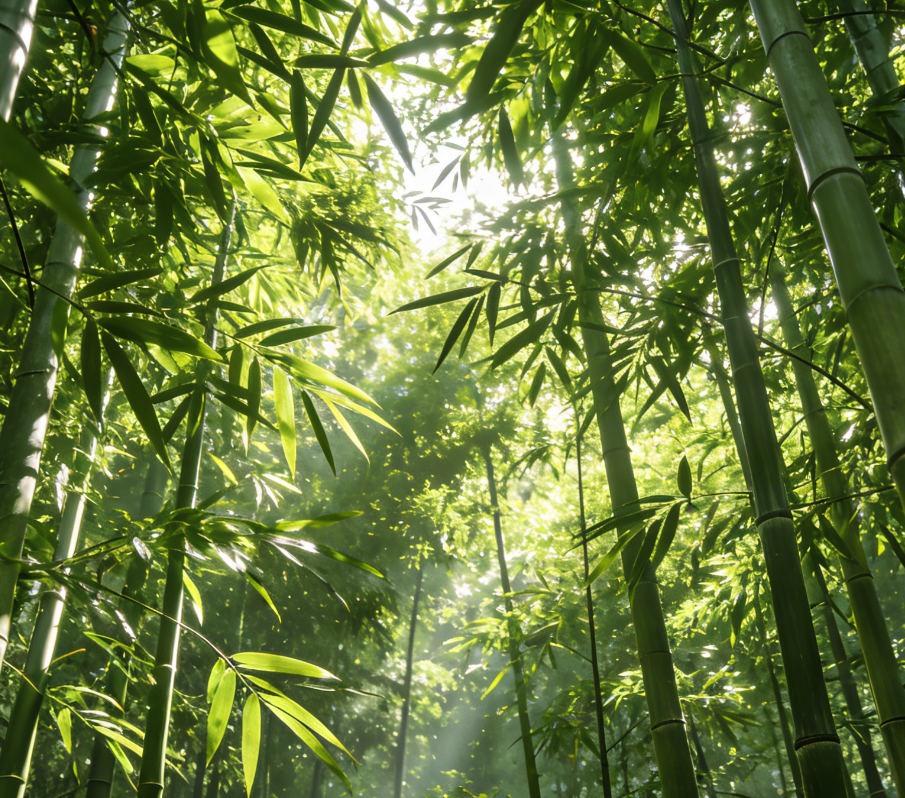 Paper Product Raw Materials and Environmental Characteristics 1