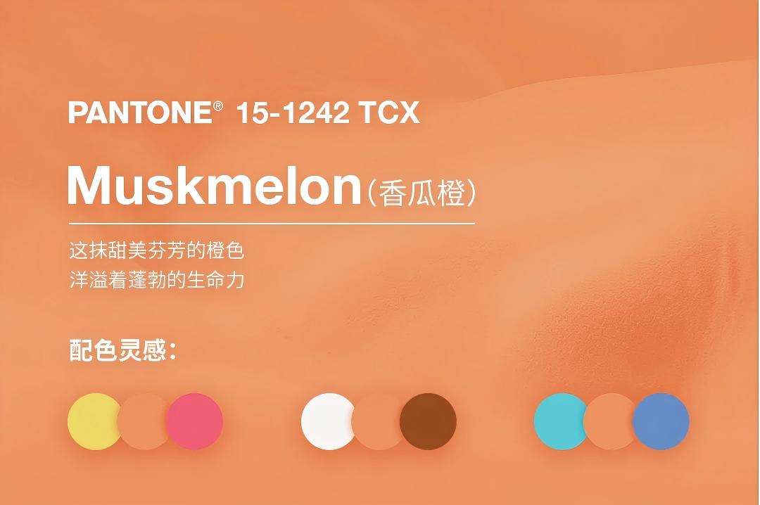  Melón (naranja cantalupo)