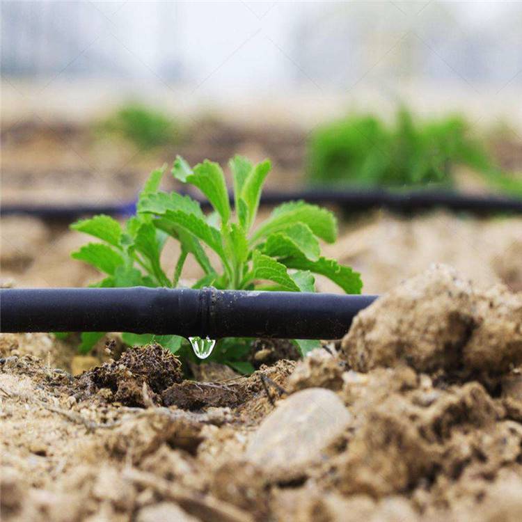 Cylindrical Dripper Pipe Manufacturing Process Drip Irrigation Pipe Production Lines Wholesale - HWYAA MACHINERY 8