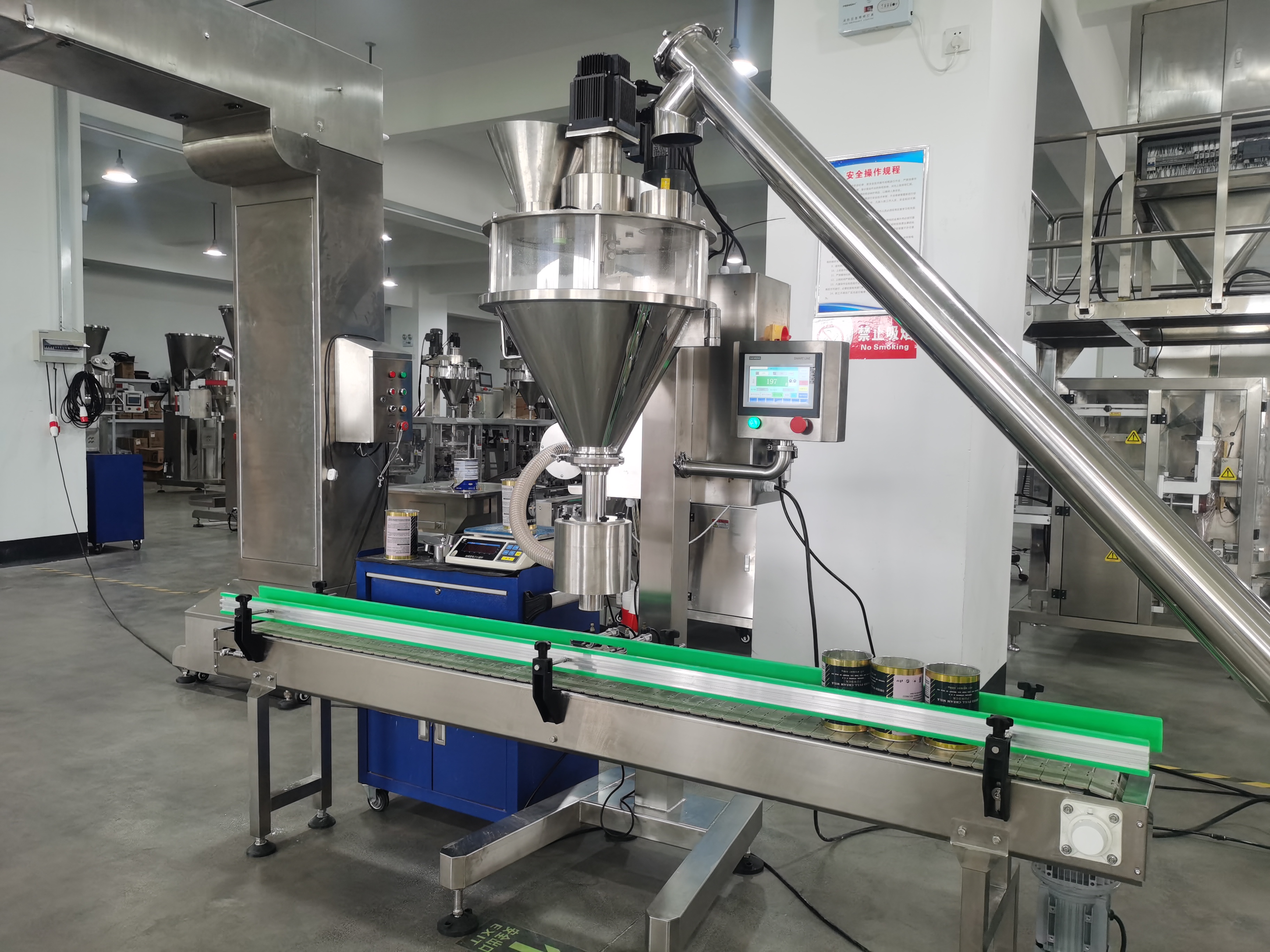 Dingjiang - Automatic baby talcum powder bottle packing machine 1000g automatic 11