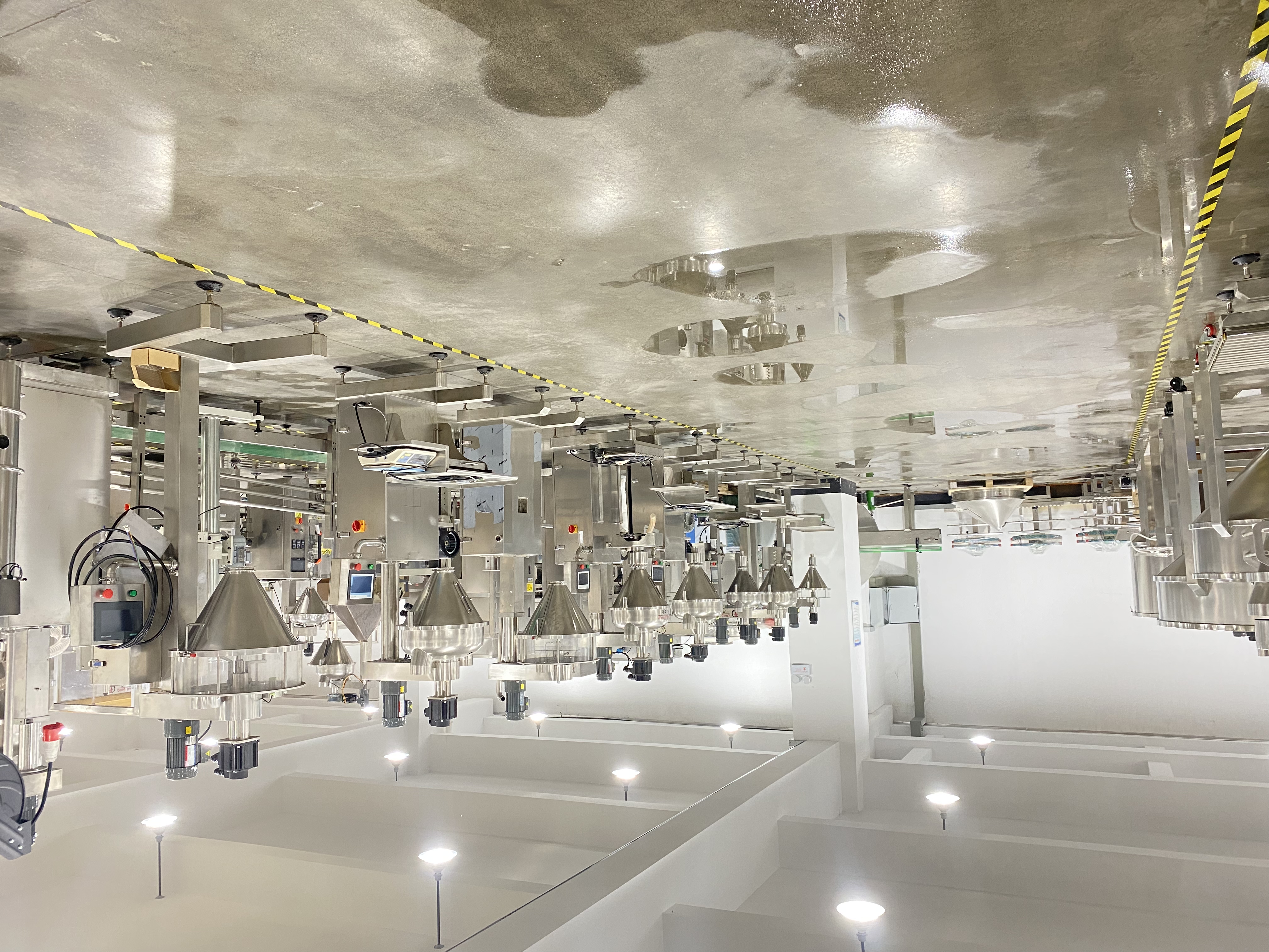 China 15 years factory focus on powder  granual  pack machine manufacturers - Dingjiang 2