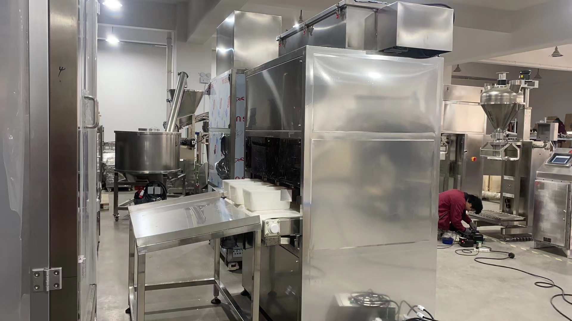 Pet bedding packing machine 2