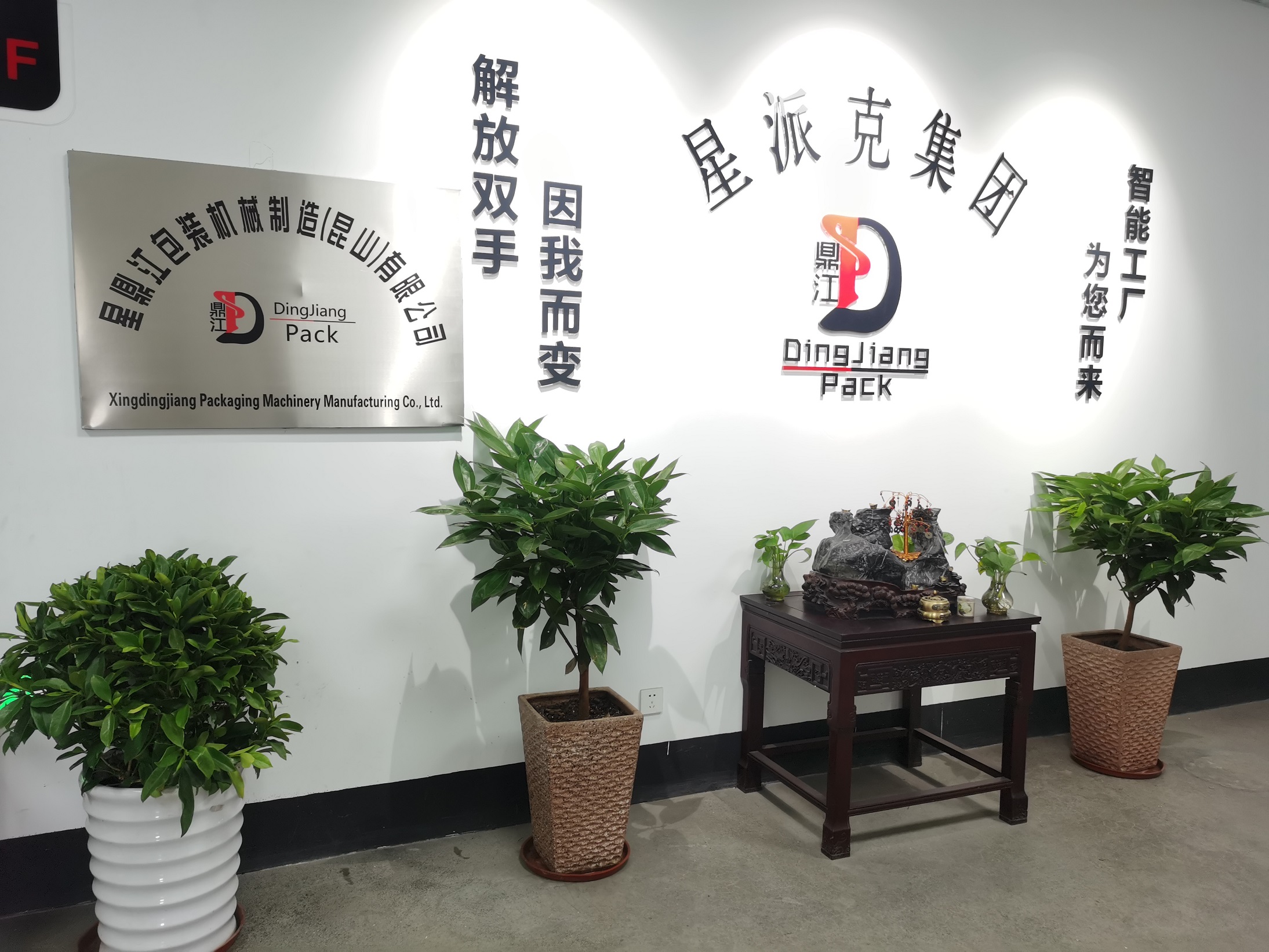 About Dingjiang 5-25kg Powder Pack Machine ready ship to spain  for salt pack SUS 316 Material 7