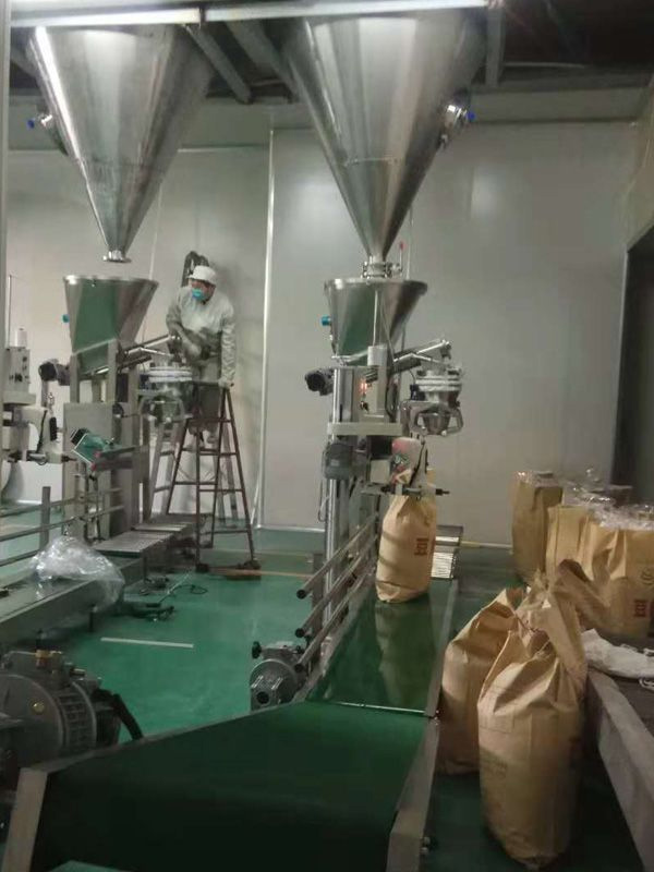 DJ-1C1 10-25kg Powder pack machine delivery 8