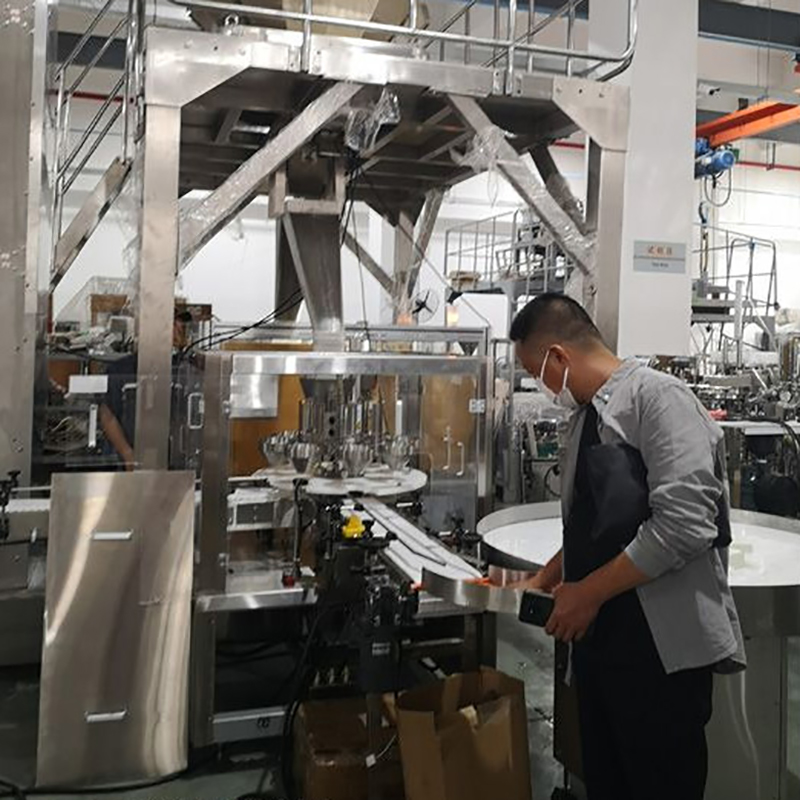 DJ-GDK200 Auto Rotary Grain Packing Machine For Stand up Pouch delivery to Malaysia1 4
