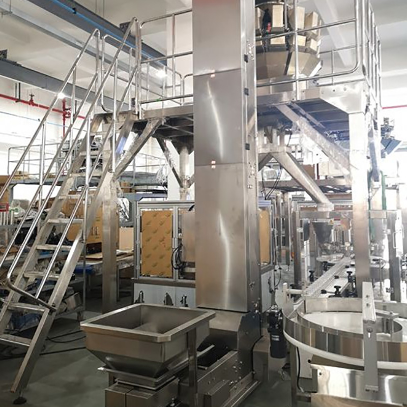 DJ-GDK200 Auto Rotary Grain Packing Machine For Stand up Pouch delivery to Malaysia1 1