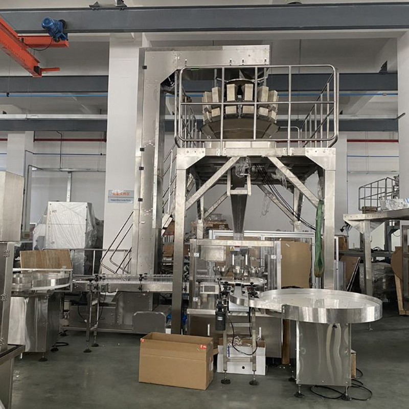 DJ-GDK200 Auto Rotary Grain Packing Machine For Stand up Pouch delivery to Malaysia1 2