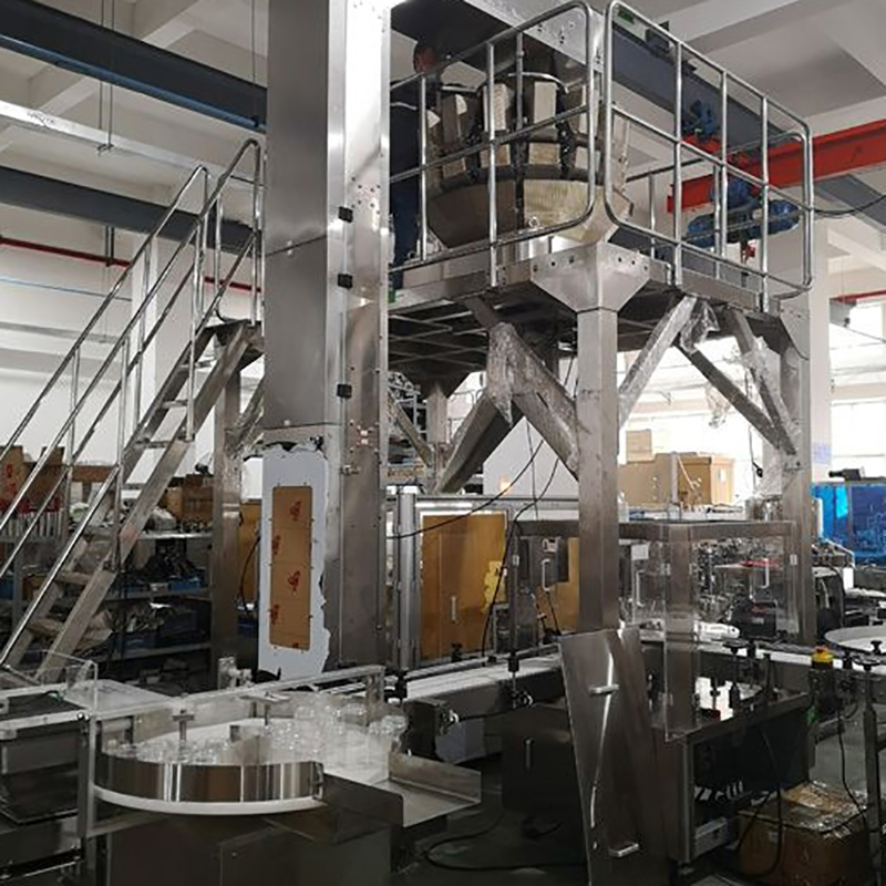 DJ-GDK200 Auto Rotary Grain Packing Machine For Stand up Pouch delivery to Malaysia1 5