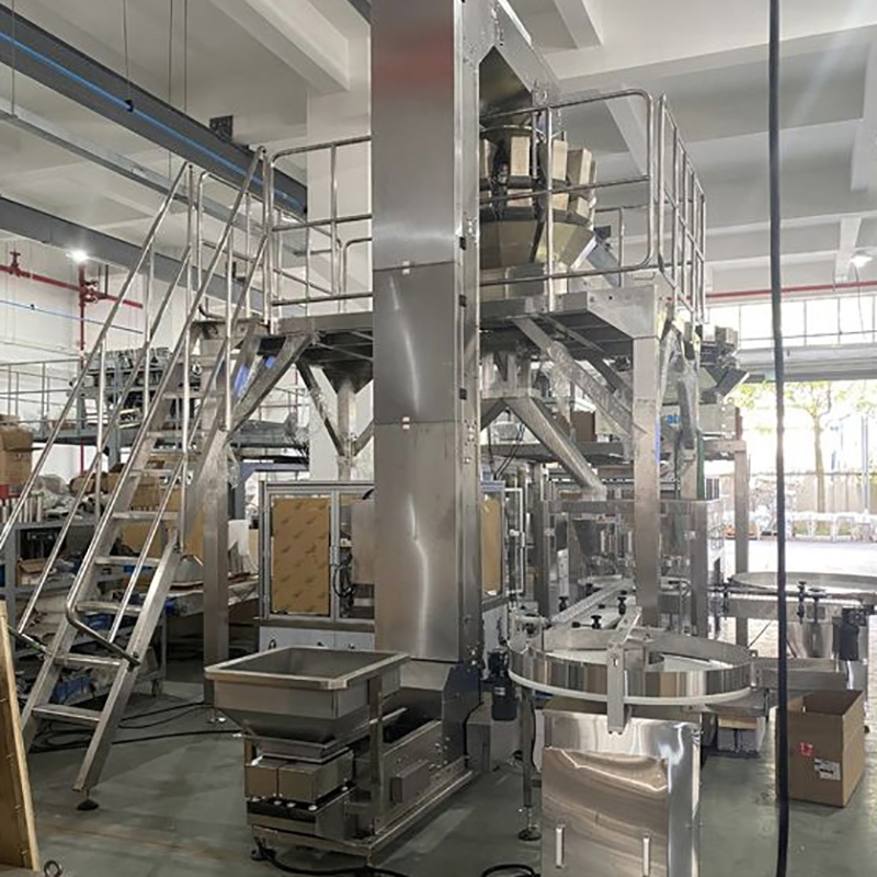 DJ-GDK200 Auto Rotary Grain Packing Machine For Stand up Pouch delivery to Malaysia1 6