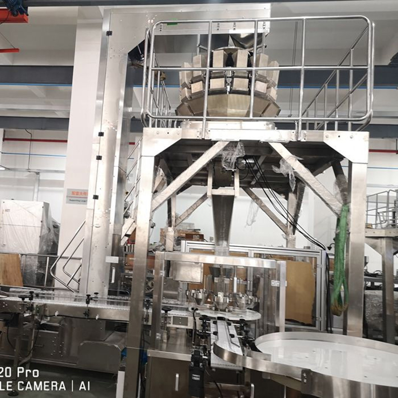DJ-GDK200 Auto Rotary Grain Packing Machine For Stand up Pouch delivery to Malaysia1 3