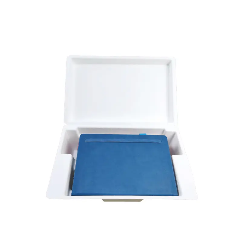 High Quality Paper Pulp Material Customized Logo Insert pulp Packaging Box For electrical Packaging 1