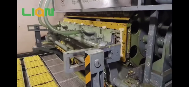 Fully Automatic  Production Process for Molded Pulp Egg Trays Factory 1
