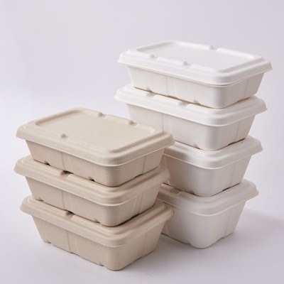 The Importance of Waterproofing in Pulp Packaging for 1