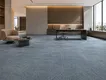 Custom Printed Carpet Factory Machine Tufted Carpet Wholesale - Dongsheng 5