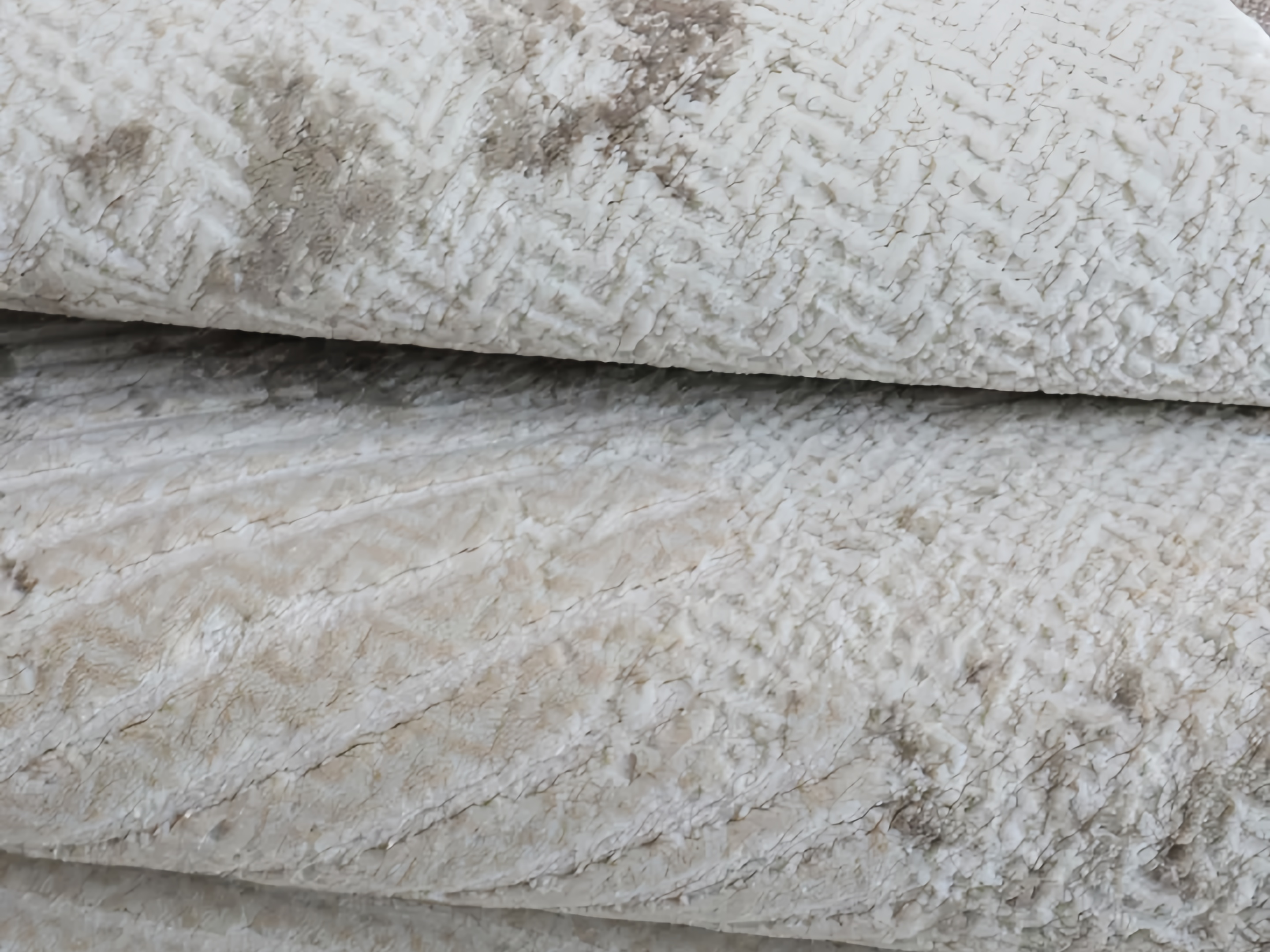Dongsheng Pattern Wilton Carpet Company 10