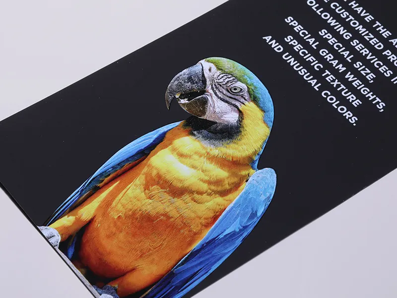 Matte Wholesale Soft Touch Paper Company 3
