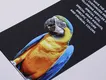 Matte Wholesale Soft Touch Paper Company 3