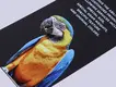 Special Papers Soft Touch Paper Company for Embossing 3