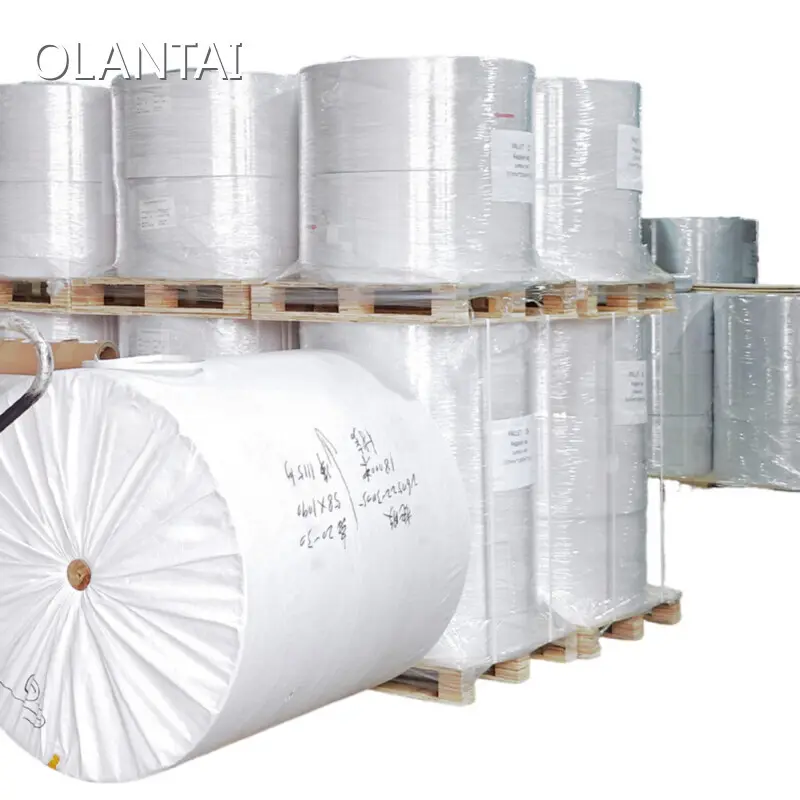 Self Adhesive Label Sheets by OLANTAI 1